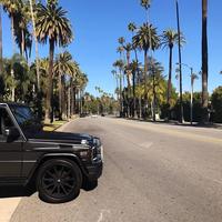 Отзыв от Мирон - DTV виза